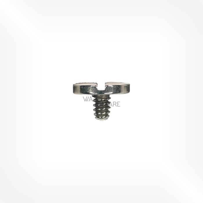 FHF Cal. 64 - Ratchet wheel screw 5415