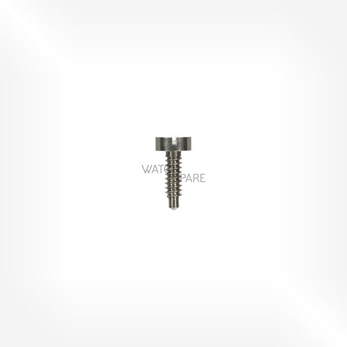 FHF Cal. 69 - Bridge screw 5105