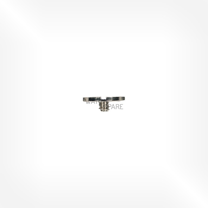 FHF Cal. 69 - Crown wheel screw 5420