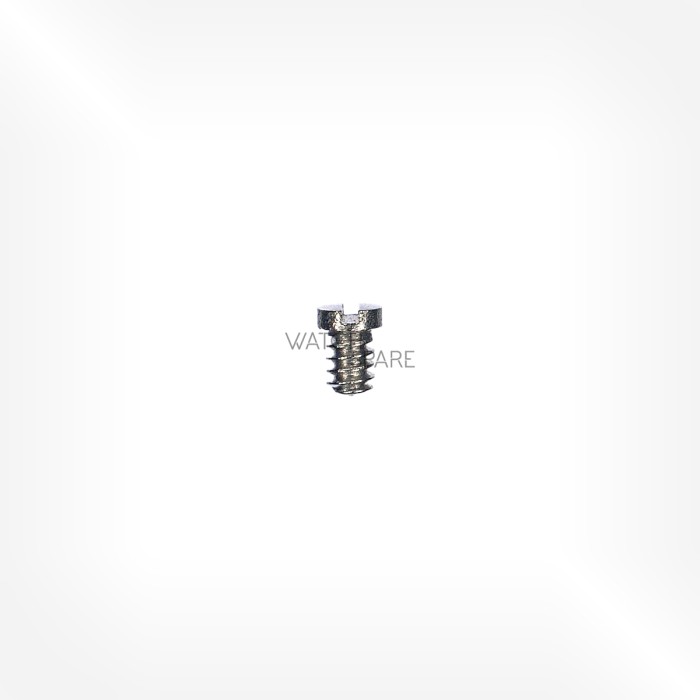 FHF Cal. 691 N - Case screw 5101
