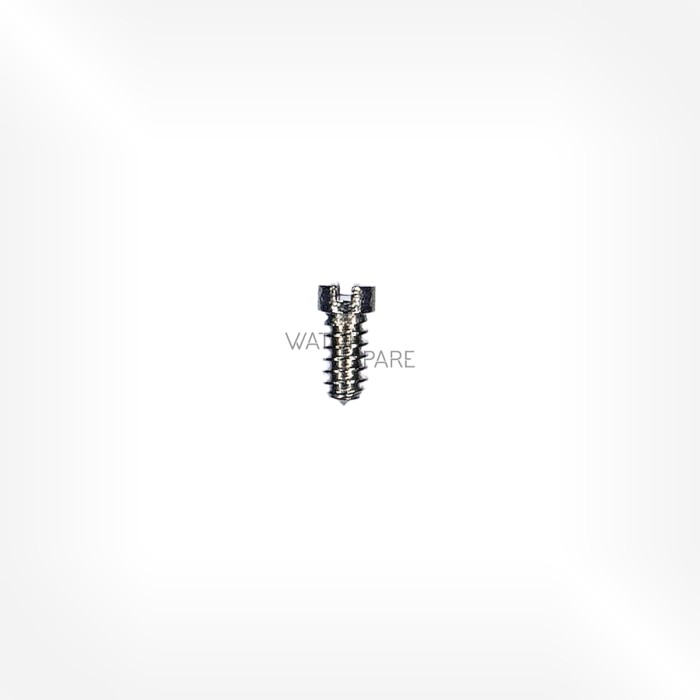 FHF Cal. 691 N - Hairspring stud screw 5738