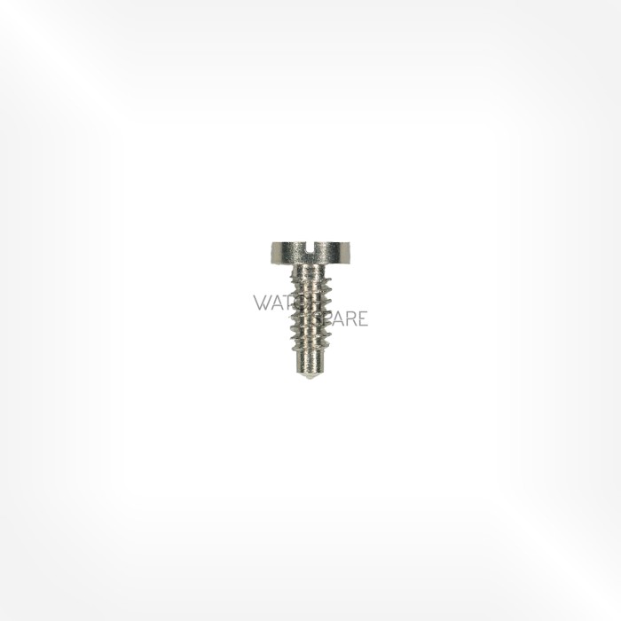 FHF Cal. 69N ST - Screw for barrel and train wheel bridge 5106