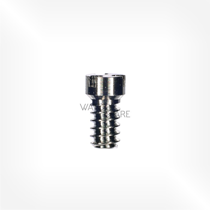 Watch Spare - 18k white gold case screw compatible for all F.P. Journe 