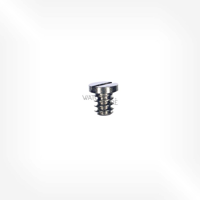 Omega Cal. 1010 - Screw for pallet bridge 2441