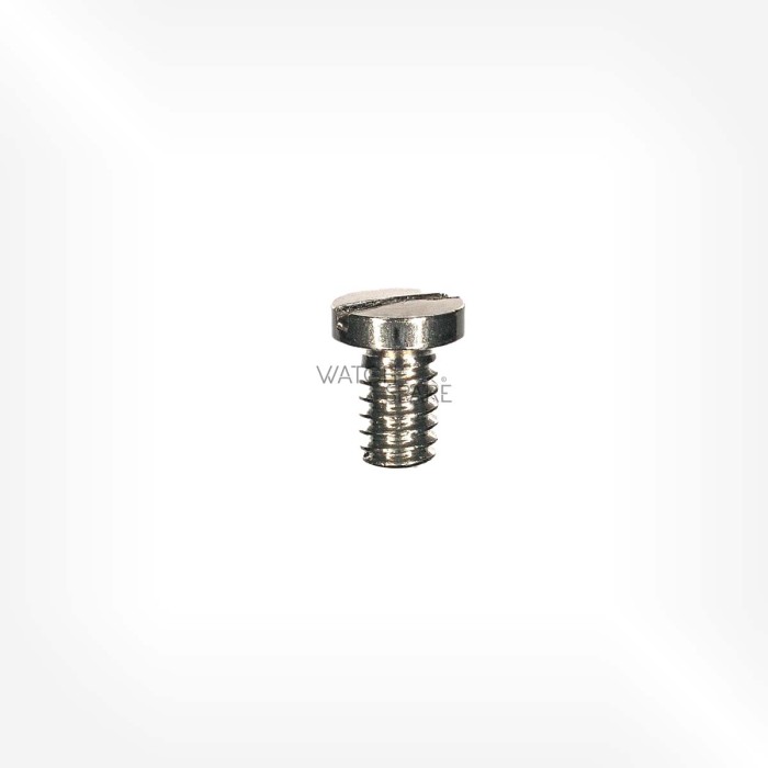 Omega Cal. 1455 - Screw for train wheel bridge 2389