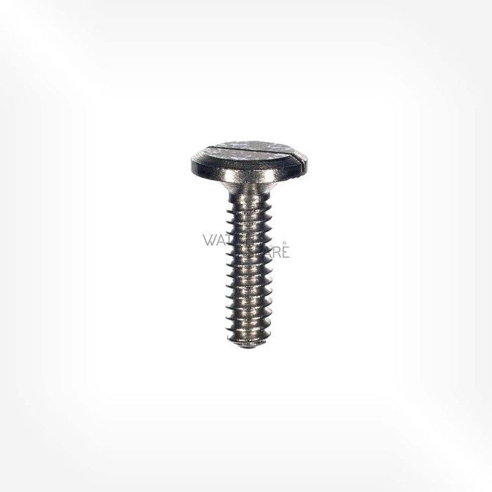 Omega Cal. 160 - Screw for case 2708