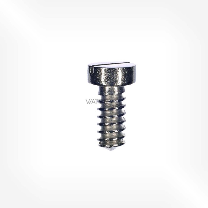 Omega Cal. 320 - Screw for barrel and train wheel bridge (¾ plate bridge)  2033