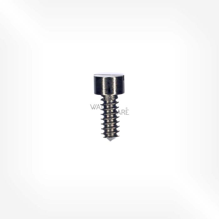 Omega Cal. 320 - Screw for escape wheel bridge 2035