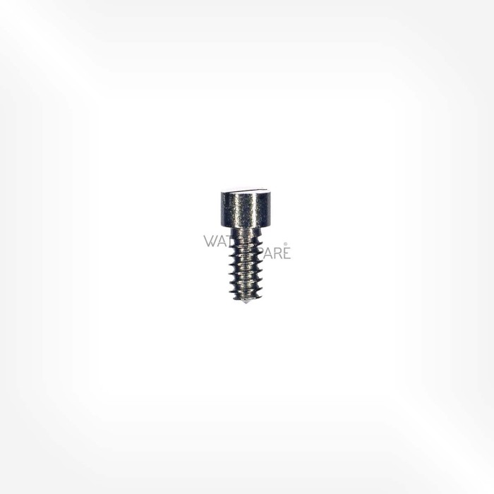 Omega Cal. 320 - Screw for stud for hairspring 2227