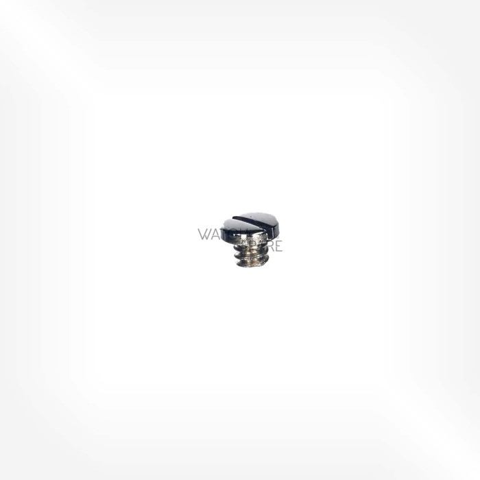 Omega Cal. 470 - Screw for lower cap jewel with end-piece for escape wheel 2579