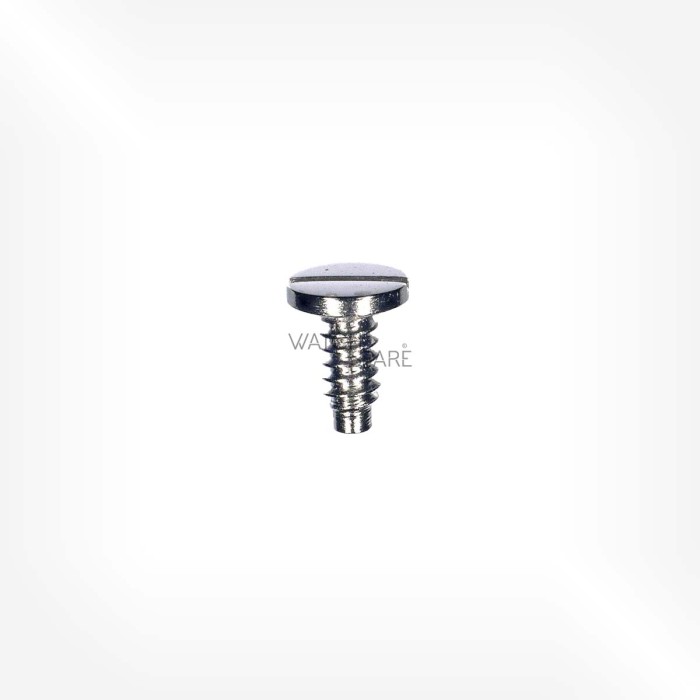 Omega Cal. 563 - Screw for date indicator guard 2050