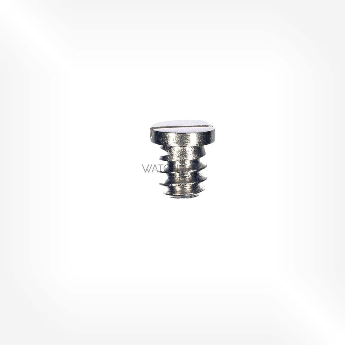 Omega Cal. 563 - Scew for casing clamp 2255