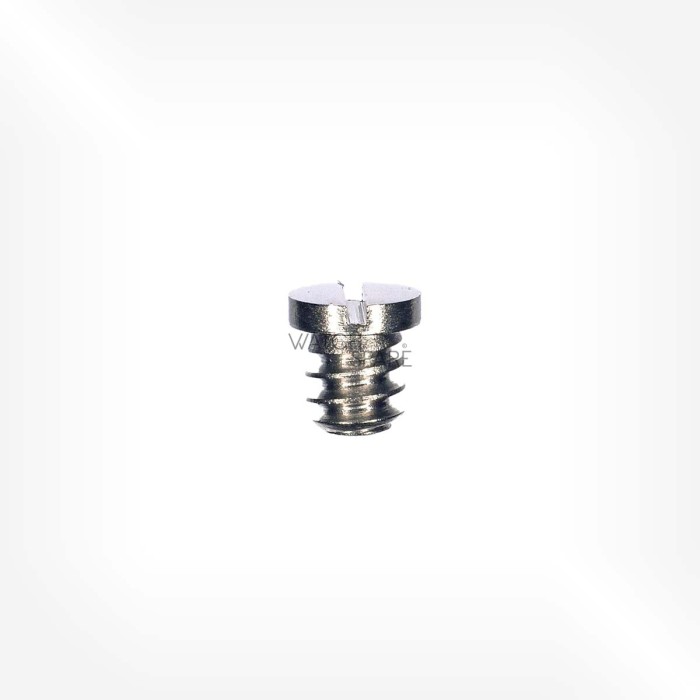 Omega Cal. 610 -Scew for casing clamp 2255