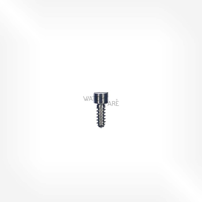 Omega Cal. 710 - Screw for stud for hairspring 2580