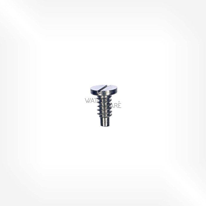 Omega Cal. 710 - Screw for wig-wag pinion spring 2831