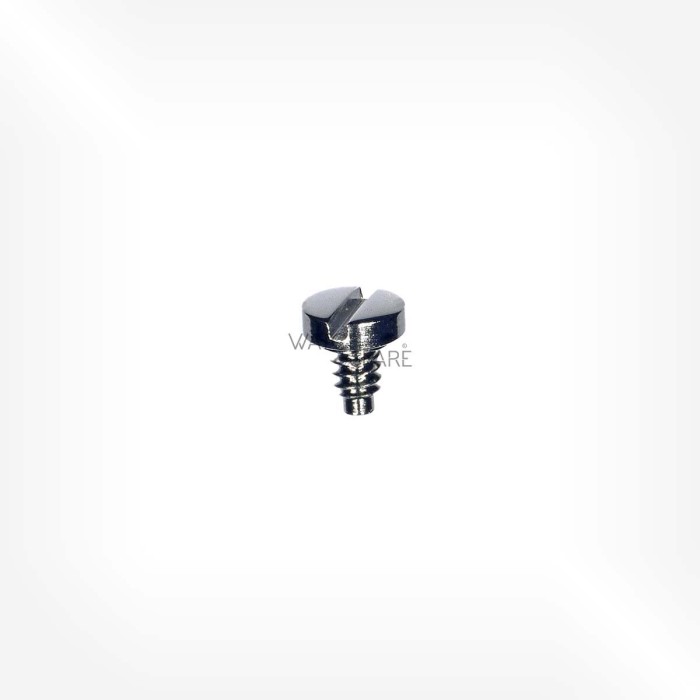 Omega Cal. 860 - Screw for frictionspring for chronograph runner 2237
