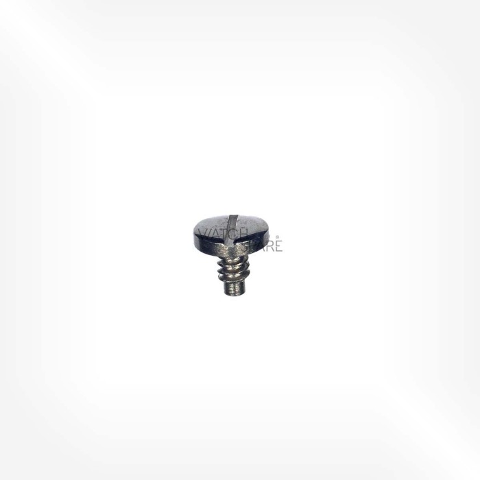 Omega Cal. 861 - Screw for hour recorder yoke 2354