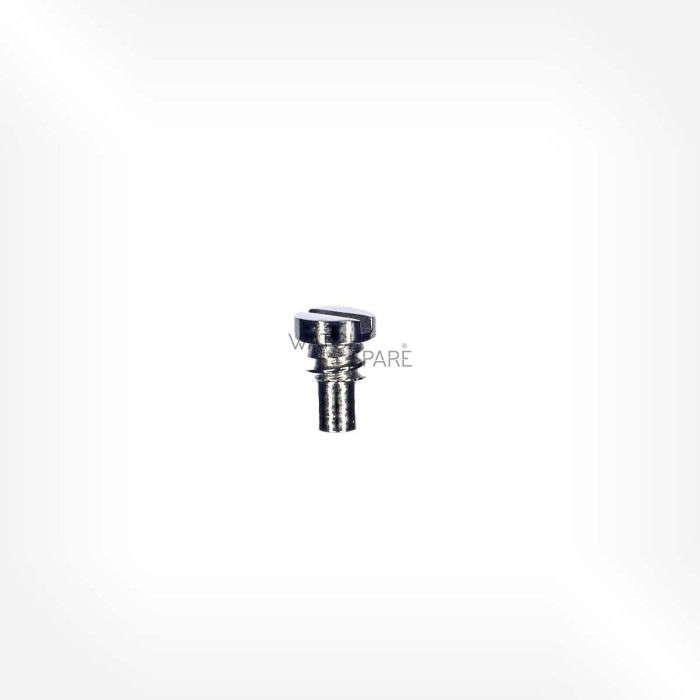 Omega Cal. 861 - Supporting screw for spring for hour recorder stop lever 2358