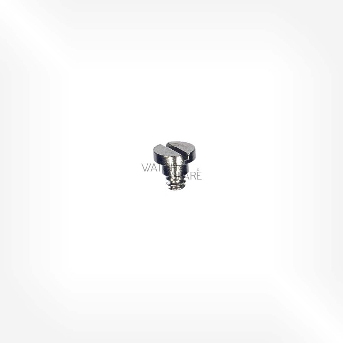 Omega Cal. 861 - Screw on hammer (supporting spring) 2552
