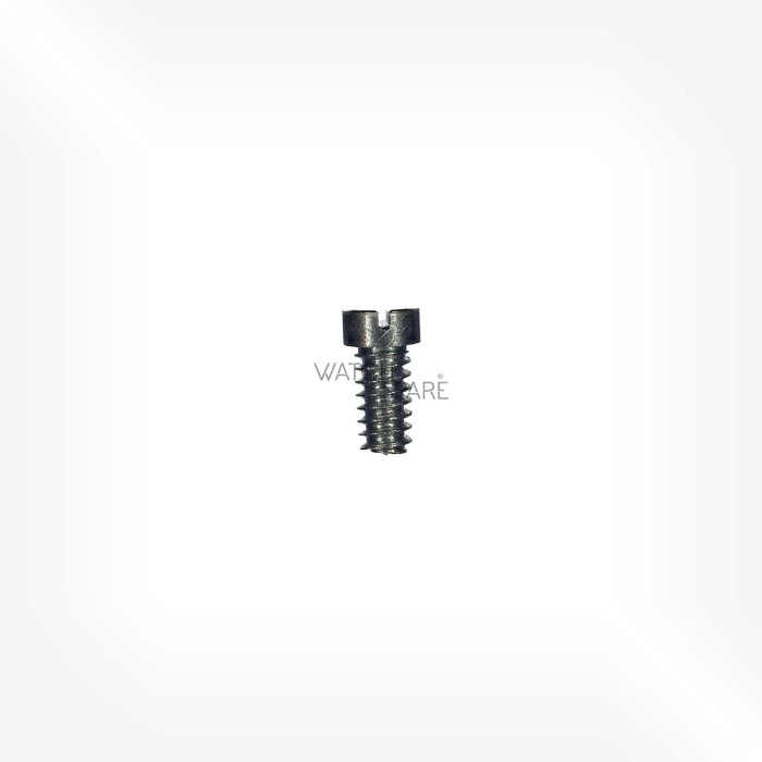 Rolex Cal. 1030 - Screw for barrel bridge 6970