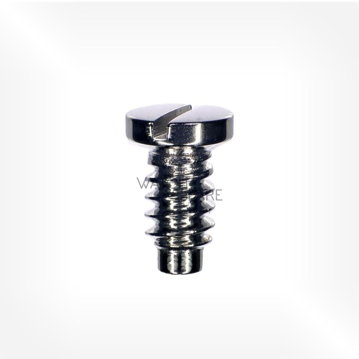 Rolex Cal. 1525 - Screw for date indicator seating 7960