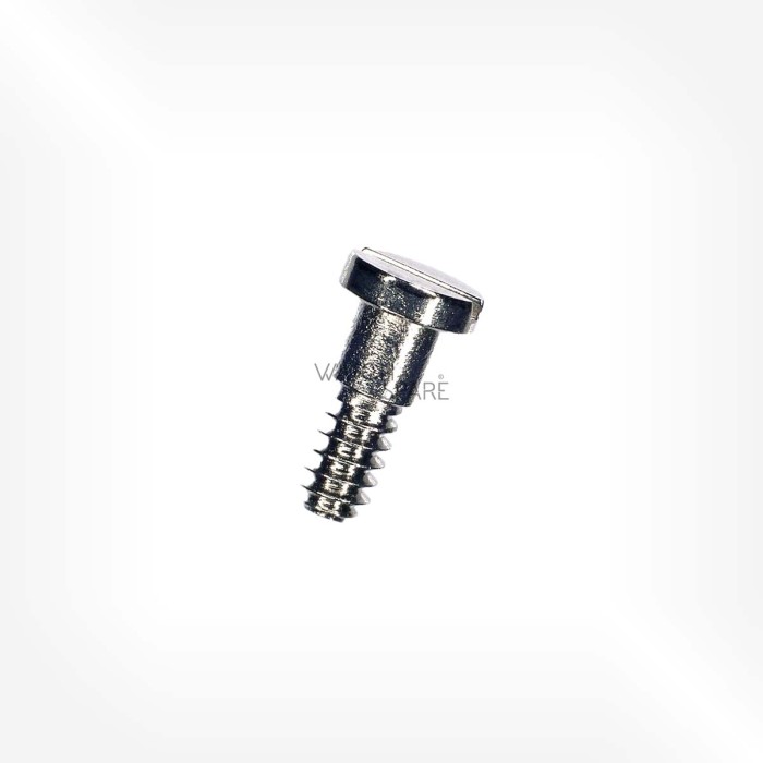 Rolex Cal. 2130 - Screw for barrel bridge, long 5105