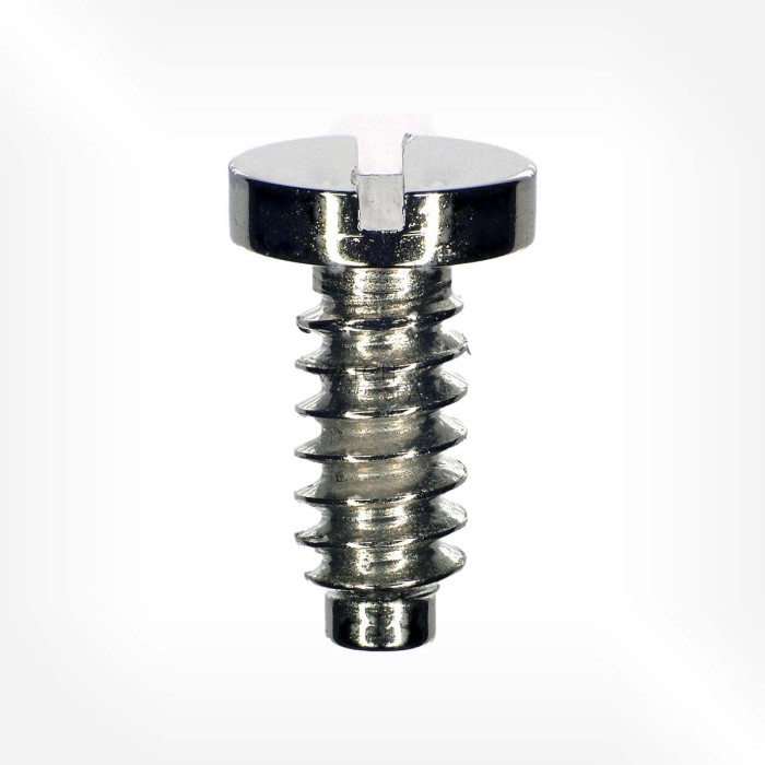 Rolex Cal. 4130 - Screw for Bridges 5110