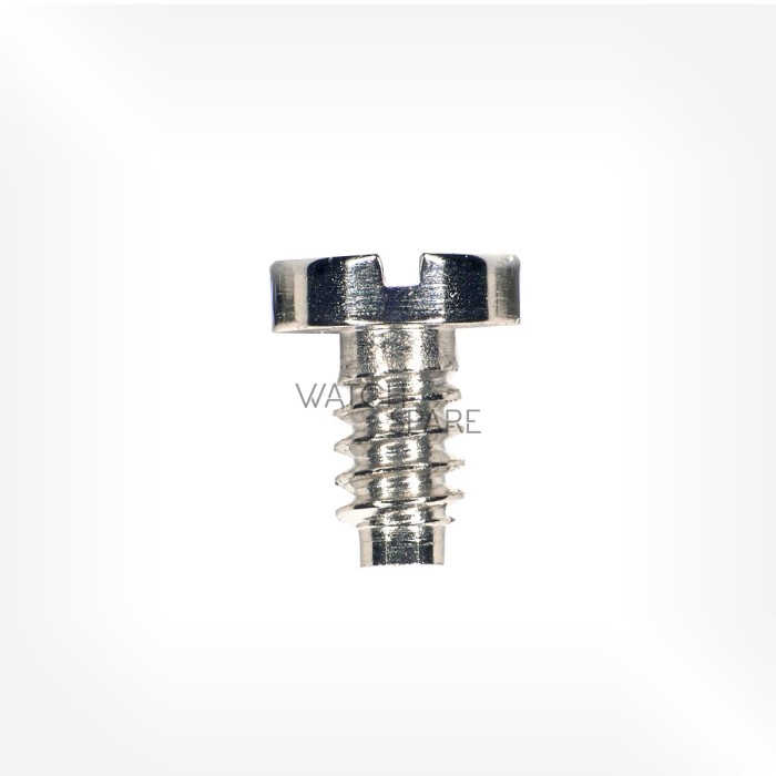 Rolex Cal. 4130 - Screw for oscillating weight 5570