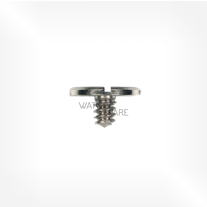 Rolex Cal. 700 - Screw 3879