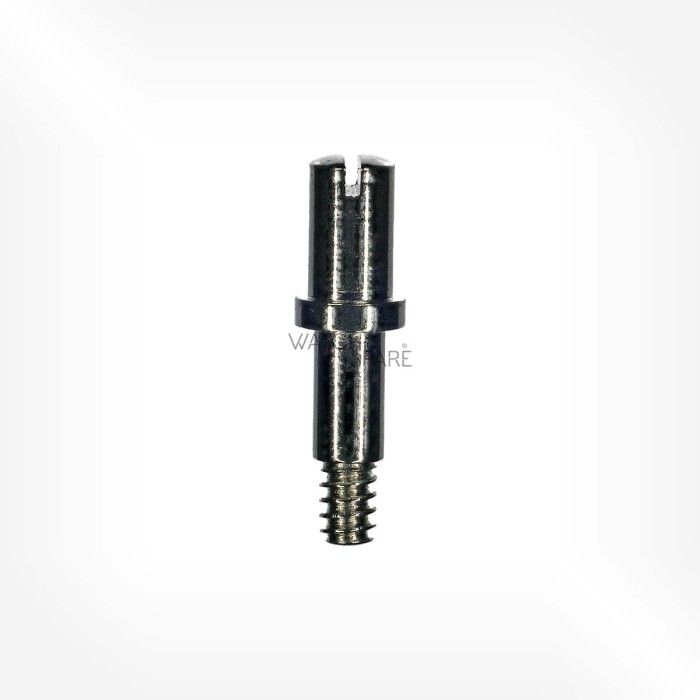 Rolex Cal. 700 - Screw 3884
