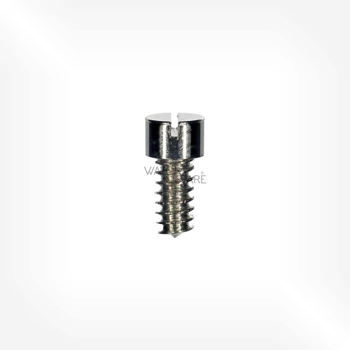 Rolex Cal. 700 - Screw for bridge, short 3903