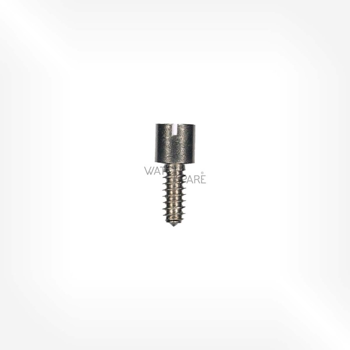 Valjoux Cal. 23 - Screw for train wheel bridge 5110