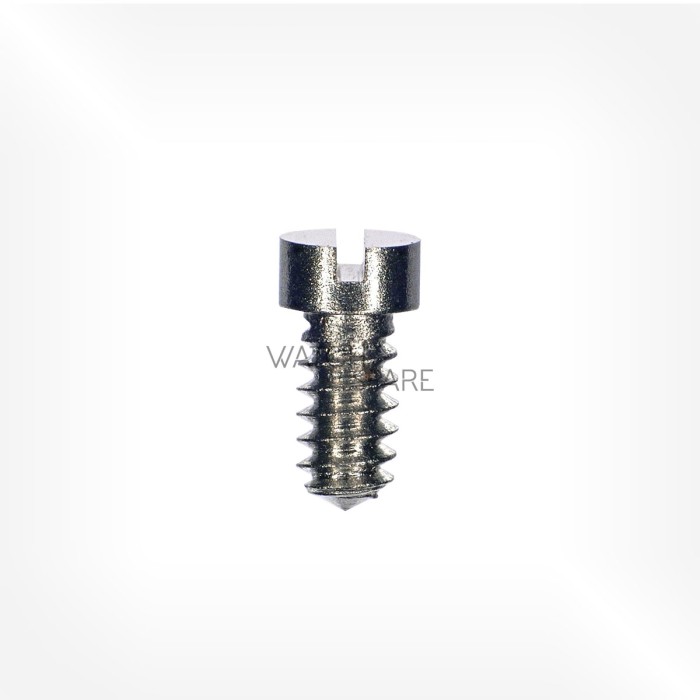 Valjoux Cal. 23 - Hairspring stud screw 5738