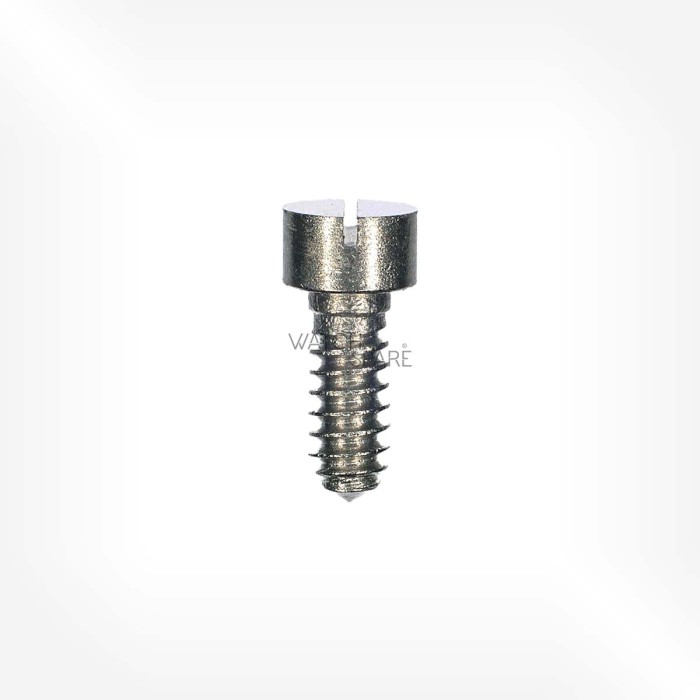 Valjoux Cal. 234 - Screw for case 5101