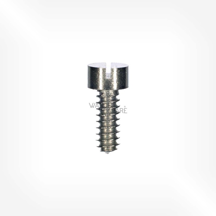 Valjoux Cal. 234 - Screw for barrel bridge 5105