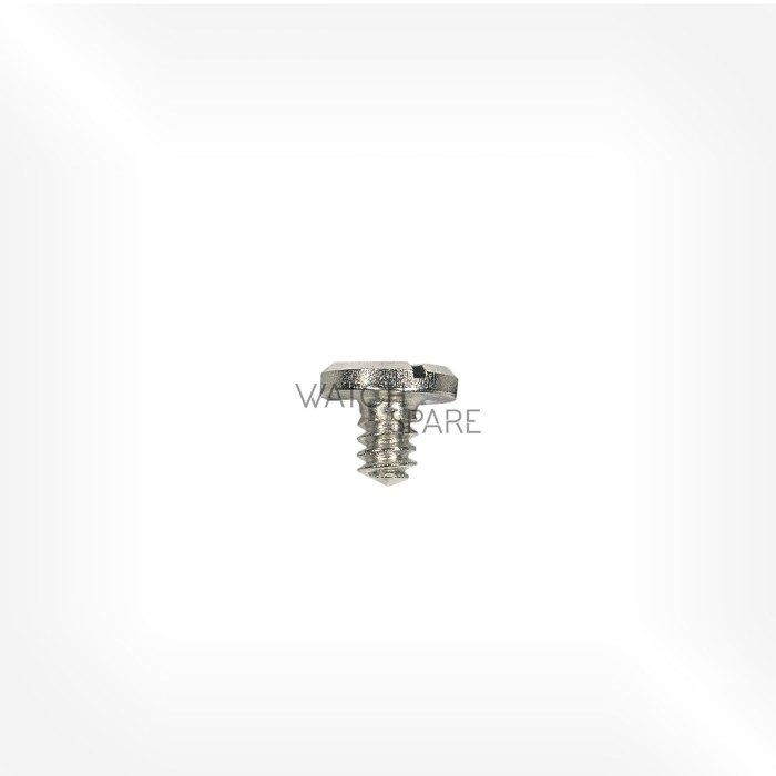Valjoux Cal. 72 - Screw for case 5101