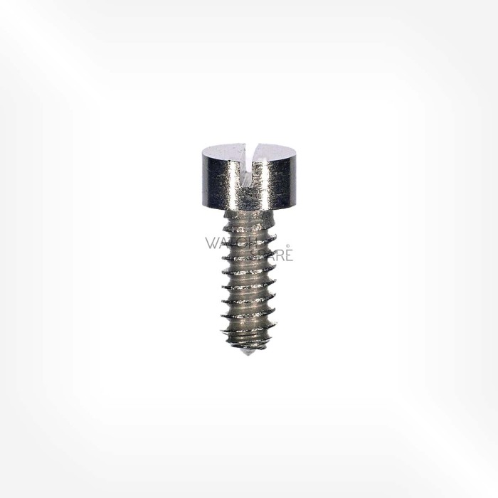 Valjoux Cal. 72 - Barrel bridge screw 5105